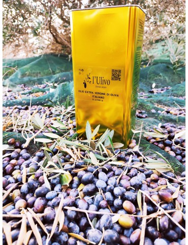 Olio l'Ulivo - Gold Edition