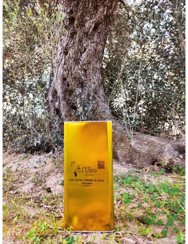 Olio l'Ulivo - Gold Edition