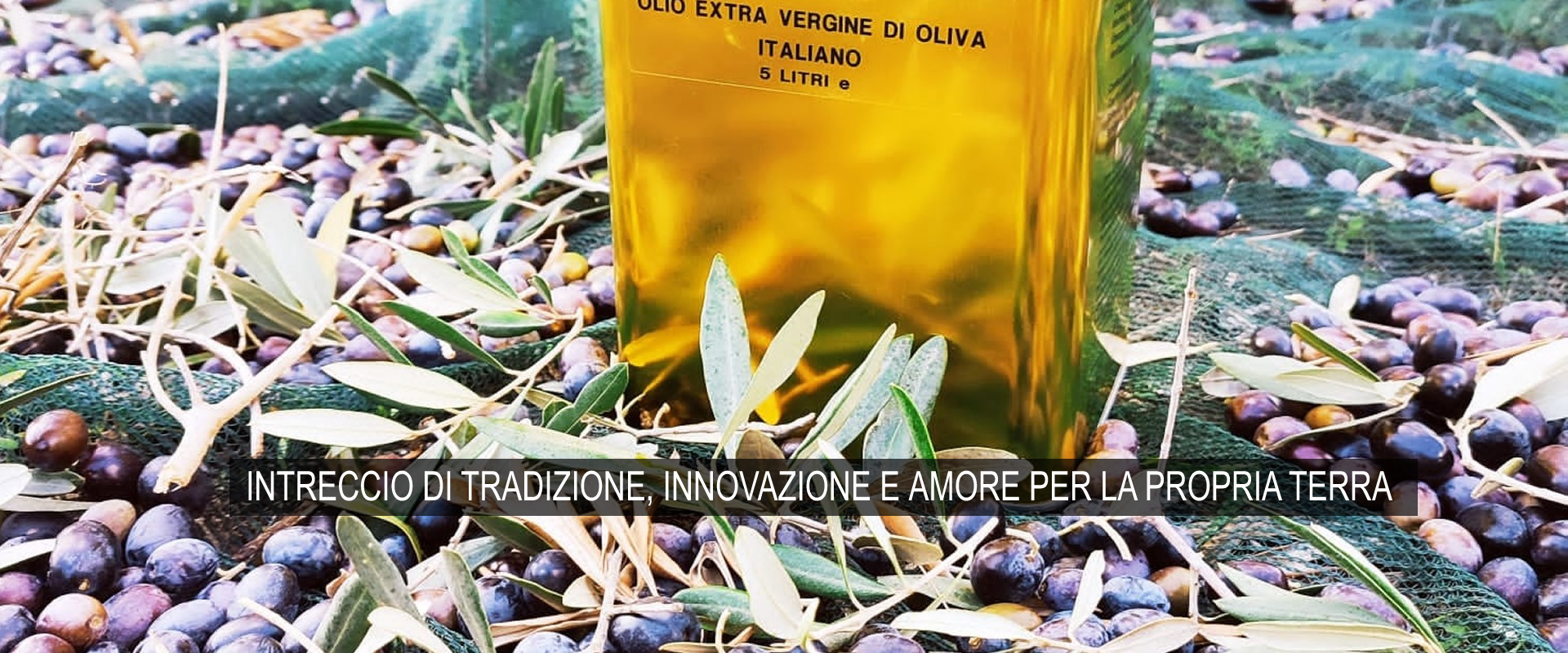 Bioindustria S.R.L. - Olio Extra Vergine di Oliva 