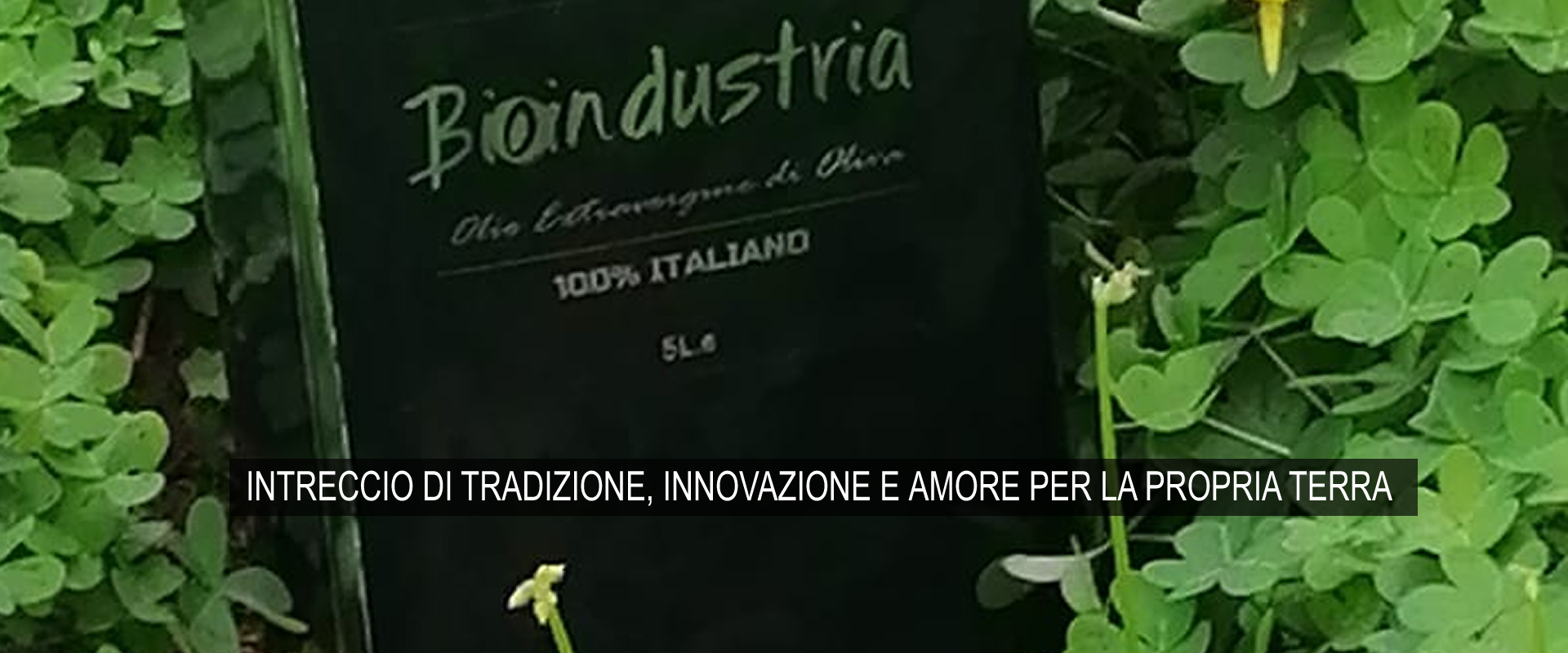 Bioindustria S.R.L. - Olio Extra Vergine di Oliva 